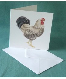 Cockerel Card Cockerel Card